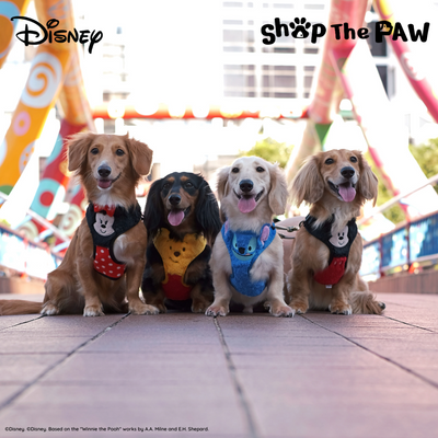 Disney Adjustable Harness | Furry Mickey Mouse - Pet Collars & Harnesses - Disney/Pixar - Shop The Paw