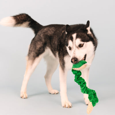 Fringe Studio Hisses and Kisses Dog Toy - Toys - Fringe Studio - Shop The Paw