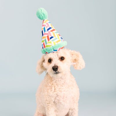 Fringe Studio Cheers For A Barkday Wearable Plush Party Hat - Turquoise Dog Toy - Toys - Fringe Studio - Shop The Paw