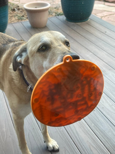 Sodapup - E-mat (Enrichment Licking Mat) with suction cups - Camp - Toys - Sodapup - Shop The Paw