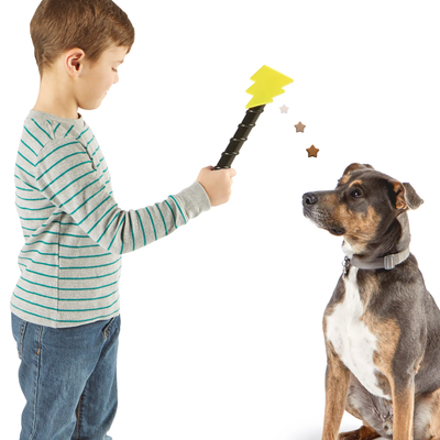 Brightkins Magic Wand! Treat Dispensers - Bolt -- Brightkins Pet - Shop The Paw