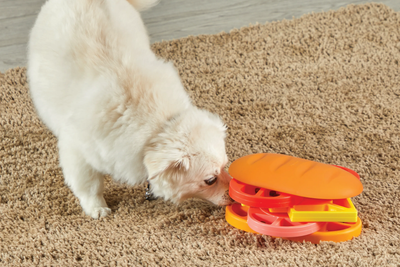 Brightkins Pupstrami Surprise! Treat Puzzle -- Brightkins Pet - Shop The Paw