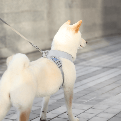 [PRE-ORDER] Pups & Bubs Roam Luxe Harness (Space) - Pet Collars & Harnesses - Pups & Bubs - Shop The Paw