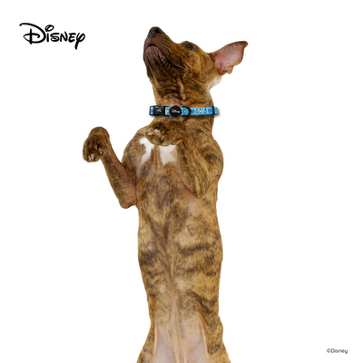 Disney Dog Collar | Foodie Stitch - Orange - Pet Collars & Harnesses - Disney/Pixar - Shop The Paw