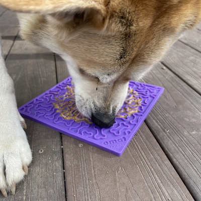 Sodapup - Bones e-mat (Enrichment Licking Mat) - Purple - Toys - Sodapup - Shop The Paw