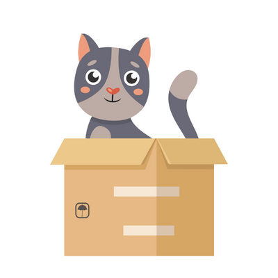 Shopthepaw Mystery Box - mystery boxwa - shopthepaw - Shop The Paw