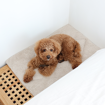 Pups & Bubs Double-Sided Snooze Home Mat - Pet Carriers & Crates - Pups & Bubs - Shop The Paw