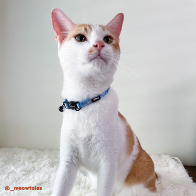 Disney Cat Collar | Foodie Stitch - Blue - Pet Collars & Harnesses - Disney/Pixar - Shop The Paw