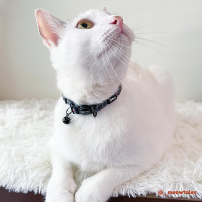 Pixar Cat Collar | Buzz Lightyear - Purple - Pet Collars & Harnesses - Disney/Pixar - Shop The Paw