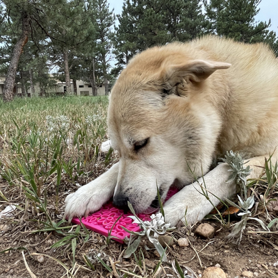 Sodapup - Flower e-mat (Enrichment Licking Mat) - Pink | Small - Toys - Sodapup - Shop The Paw