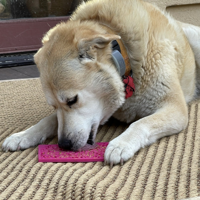 Sodapup - Flower e-mat (Enrichment Licking Mat) - Pink | Small - Toys - Sodapup - Shop The Paw