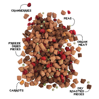 The Simple Food Project Freeze-Dried Raw for Dogs | Beef & Salmon Recipe - Food - The Simple Food Project - Shop The Paw