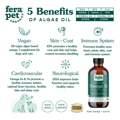 Fera Pet Organics Vegan Omega-3, 6, 9s Algae Oil Dogs & Cats (8oz) - Supplement - Fera Pet Organics - Shop The Paw