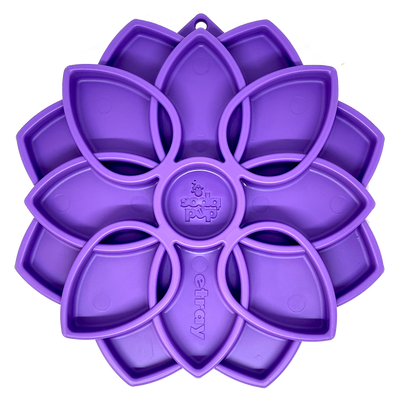 Sodapup - eTray (Enrichment Tray) - Mandala Purple - Toys - Sodapup - Shop The Paw