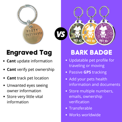 Bark Badge Sand Fun Badge - Pet ID Tags - BARK BADGE - Shop The Paw