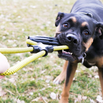 KONG Jaxx – Infinity Tug Dog Toy - Toys - Kong - Shop The Paw