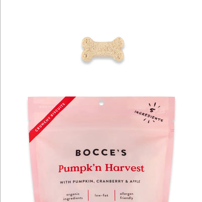 Bocce's Bakery Pumpk'n Harvest Biscuits Dog Treats - Dog Treats - Bocce's Bakery - Shop The Paw