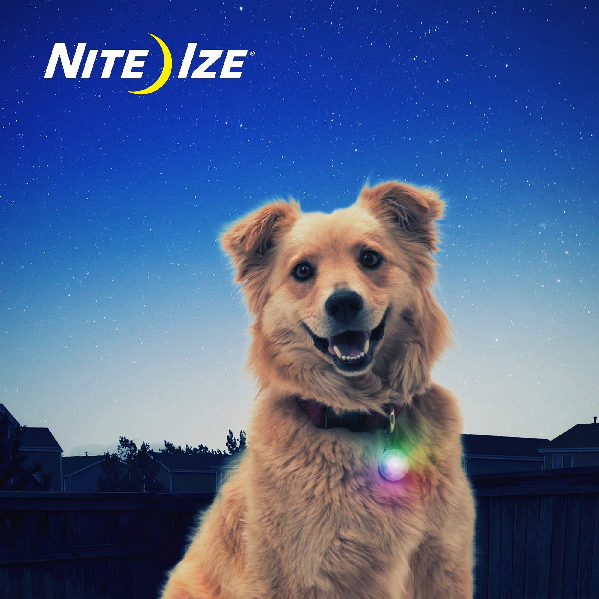 nite ize collar