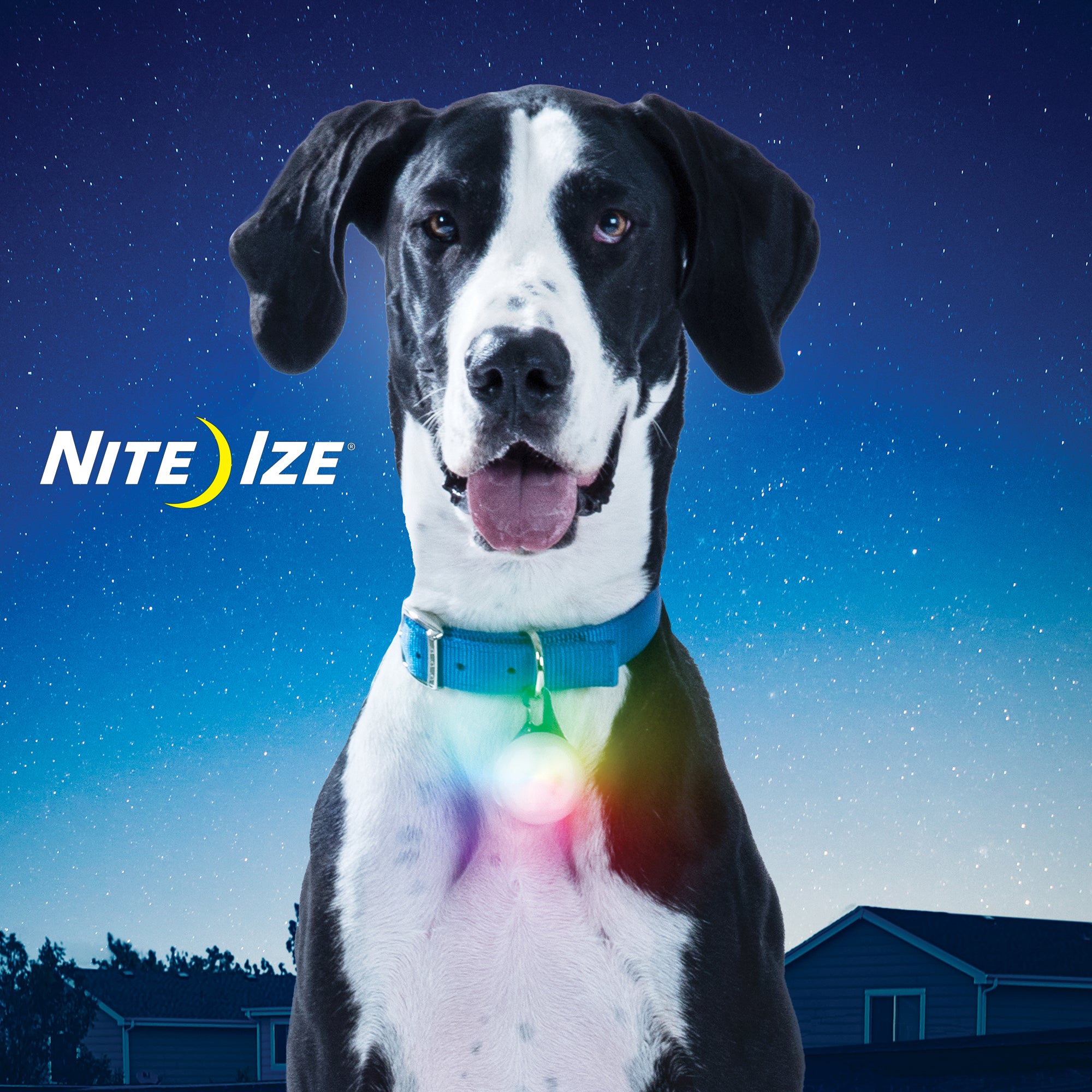 nite ize collar