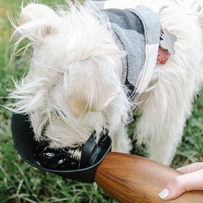 Swell Travel Dog Bowl Attachment - Black - Pet Bowls, Feeders & Waterers - Swell - Shop The Paw