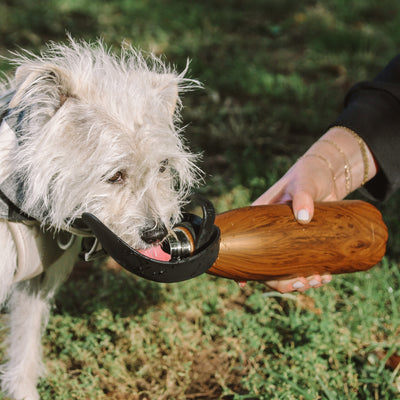 Swell Travel Dog Bowl Attachment - Black - Pet Bowls, Feeders & Waterers - Swell - Shop The Paw