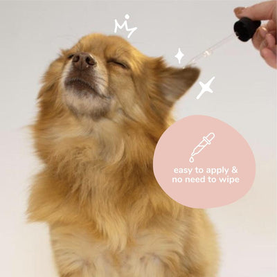 Kin+Kind Organic Clean Ears - Cleanser [NEW LOOK] - Grooming - Kin+Kind - Shop The Paw