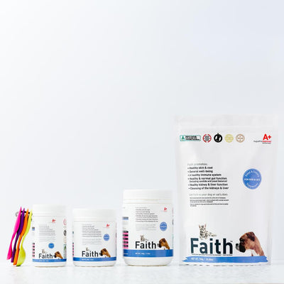 Augustine Approved Faith's Cleanse & Detox | Supplement | Augustine Approved - Shop The Paws