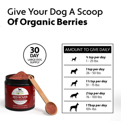 Four Leaf Rover Red Rover Organic Berries for Dogs - Supplement - Four Leaf Rover - Shop The Paw