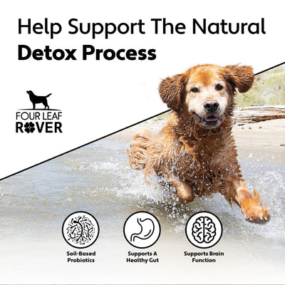 Four Leaf Rover PROTECT Soil Based Probiotics - Supplement - Four Leaf Rover - Shop The Paw