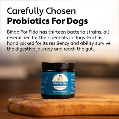 Four Leaf Rover Bifido for Fido Probiotics - Supplement - Four Leaf Rover - Shop The Paw