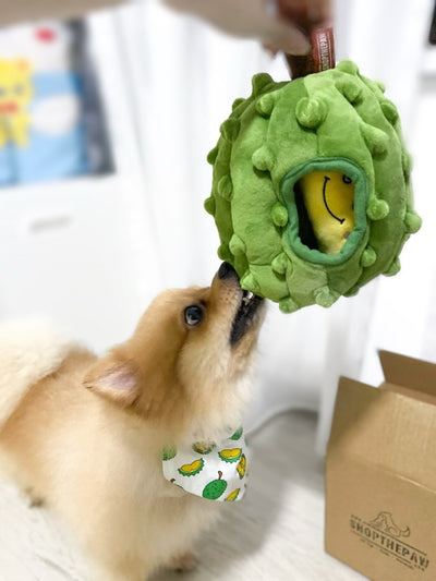 ShopThePaw - Durian Burrow Pet Toy (Special Season) | Toys | shopthepaw - Shop The Paws