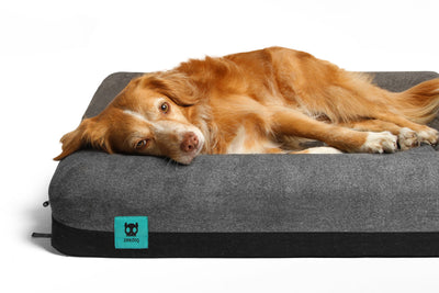 Zee.Dog Logo Bed | Bedding | Zee.Dog - Shop The Paws