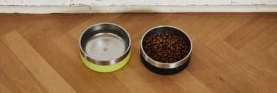 Zee.Dog Tuff Bowl | Feeder | Zee.Dog - Shop The Paws