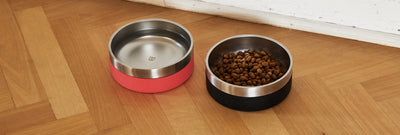 Zee.Dog Tuff Bowl | Feeder | Zee.Dog - Shop The Paws