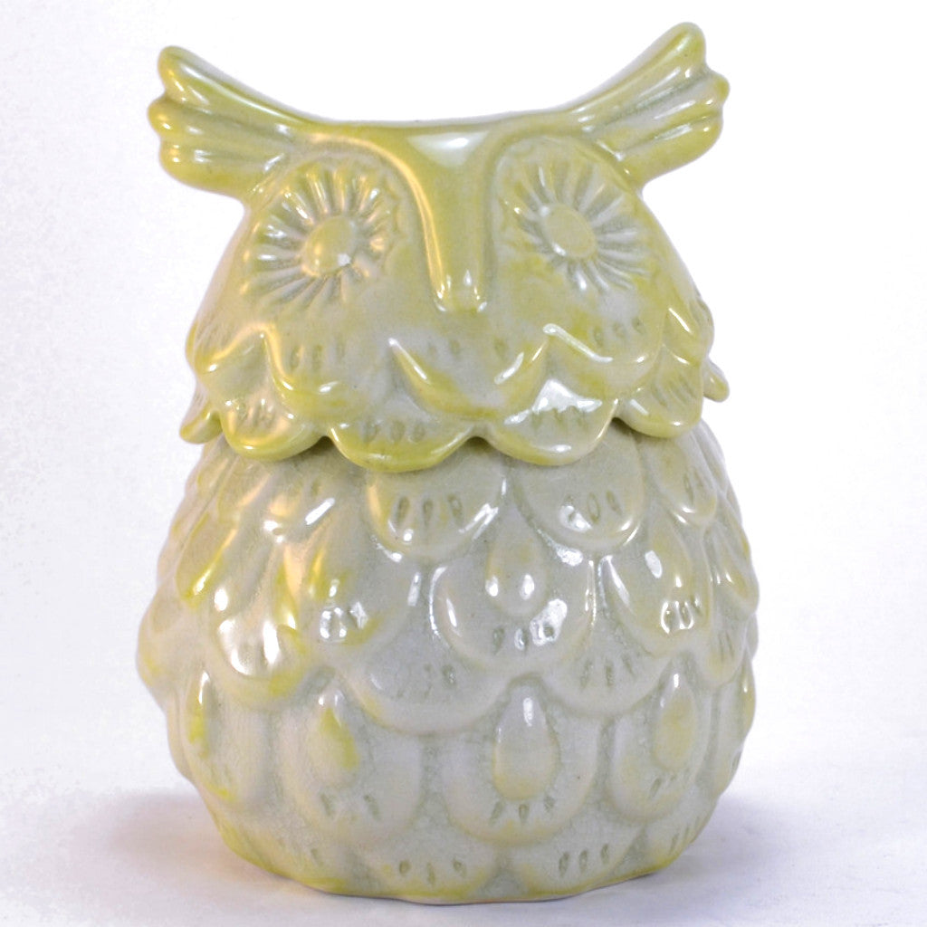 Celadon Ceramic Owl | Owl decor, owl gifts, ceramic owl box