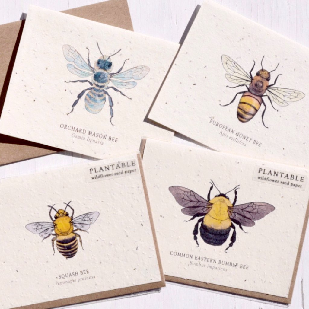 Plantable Bee Note Cards - Set of 4 - Dogwood Hill Gifts