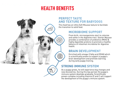Royal Canin Size Health Nutrition Starter Mousse Mother & Babydog