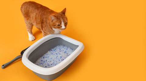 silica gel cat litter