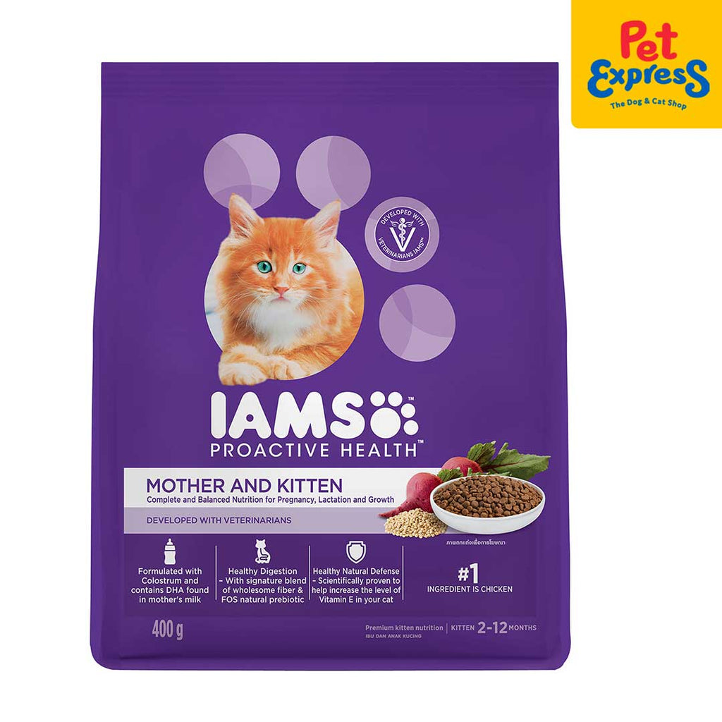 can dogs eat iams dry cat food