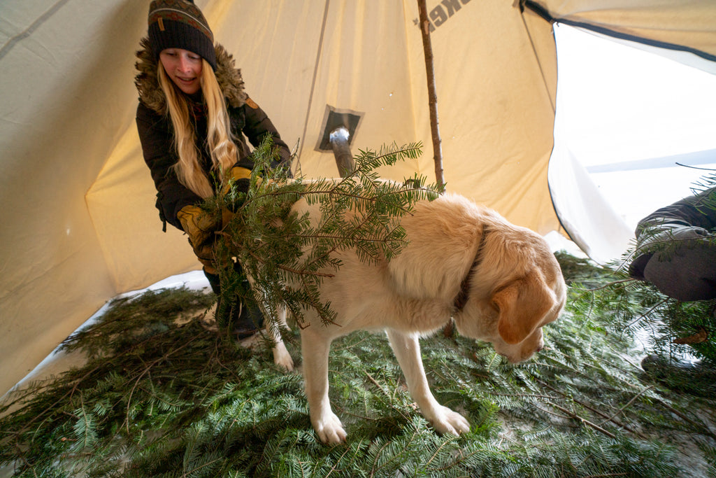 Dog inside hot tent