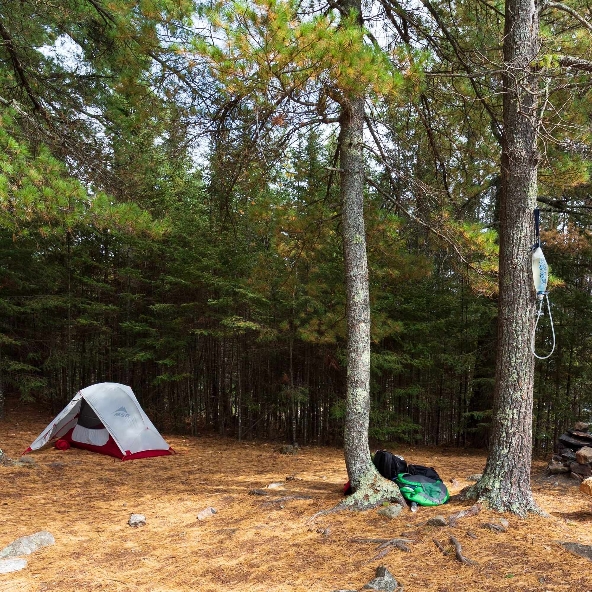 Katadyn BeFree at Campsite