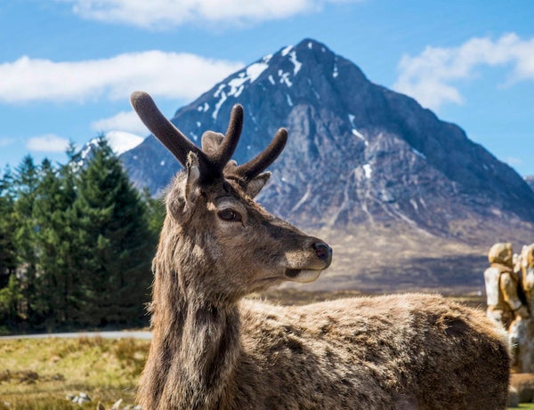 格伦科峡谷 GlenCoe｜RobinGO英国走咯旅行