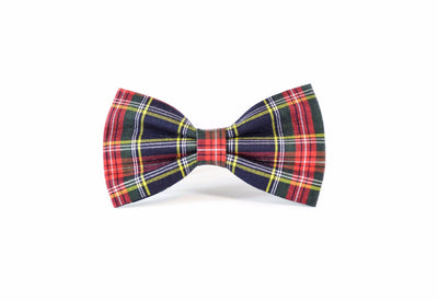 dog bow tie canada