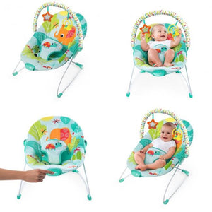 bright starts raindrop rainforest bouncer