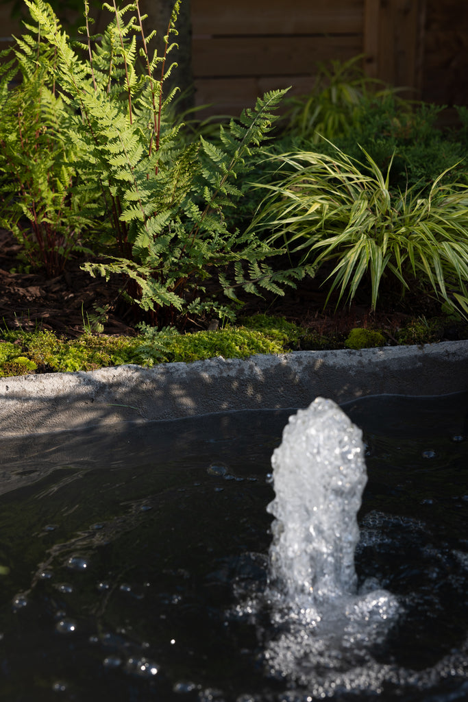 small concrete water feature surrounded by moss, ferns, and other shade plants