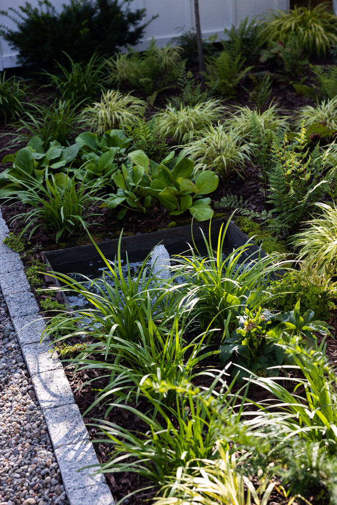 shade garden with a water feature surrounded by ferns, liriope, bergenia, and japanese forest grass