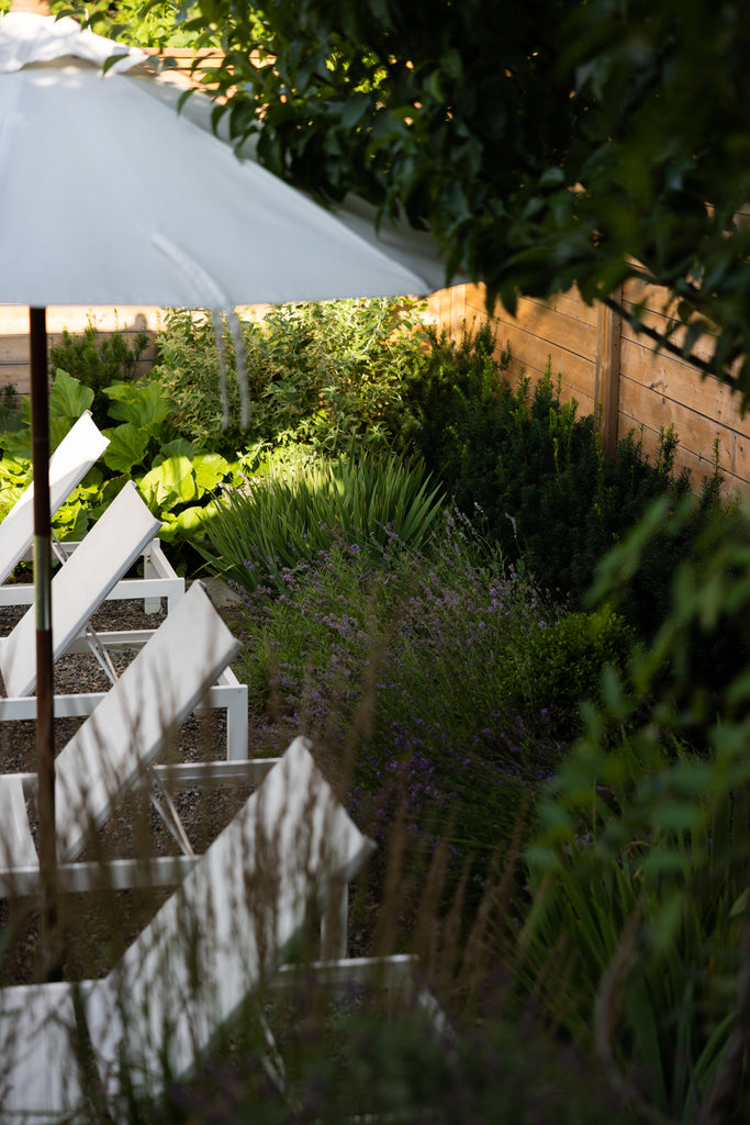 Gardens behind the outdoor lounge chair space.