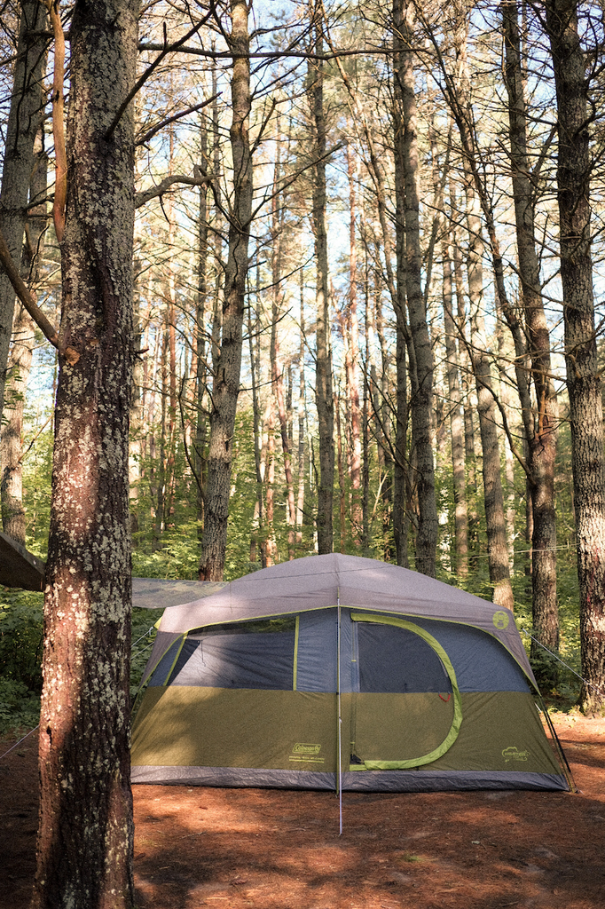 Coleman 8-person Prairie Trail Tent at Algonquin Park under trees