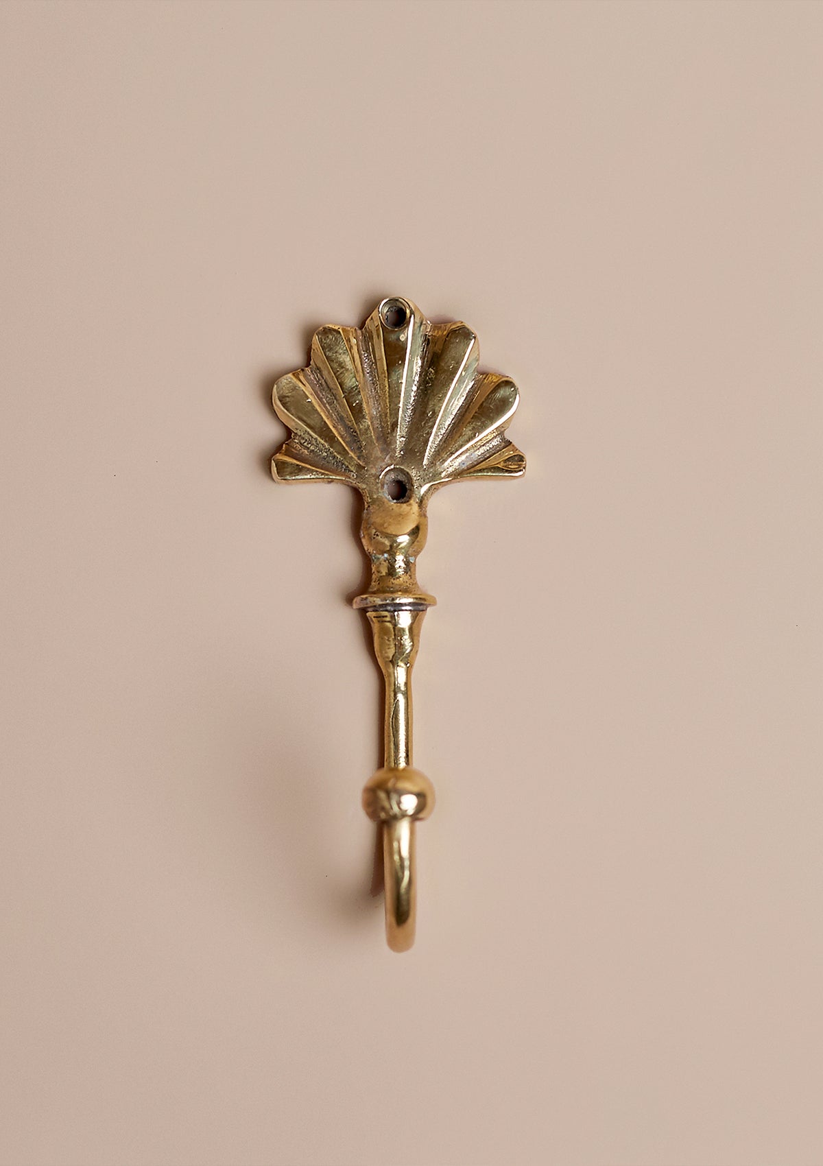 Ornate Brass Hook