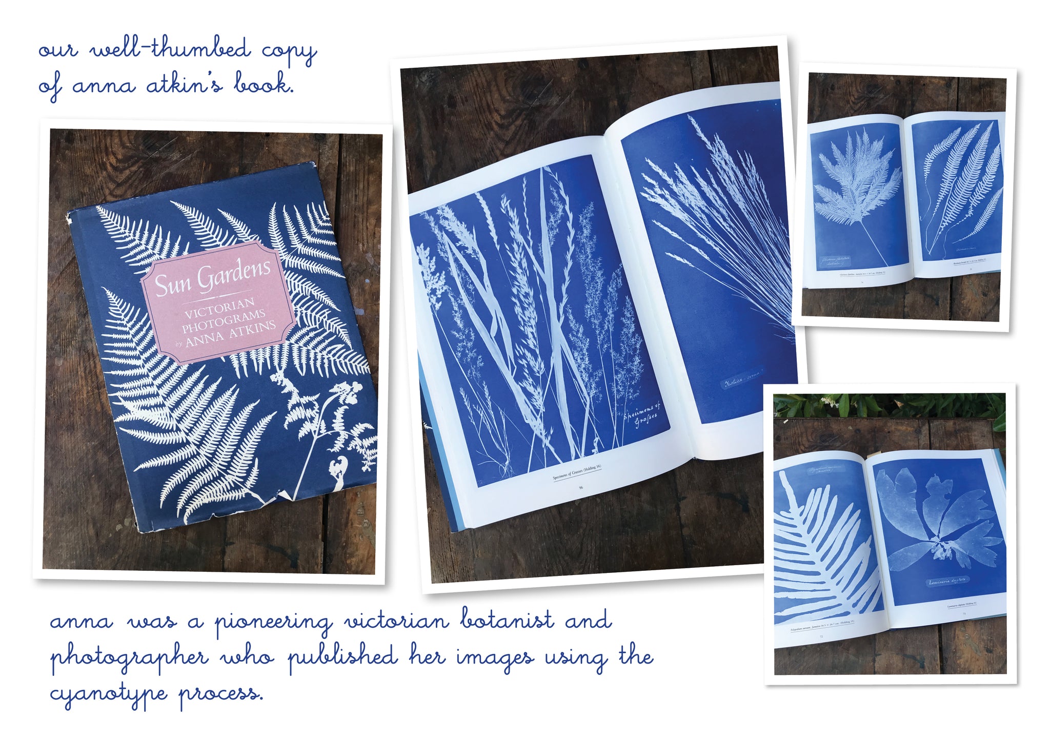 get creative with cyanotypes